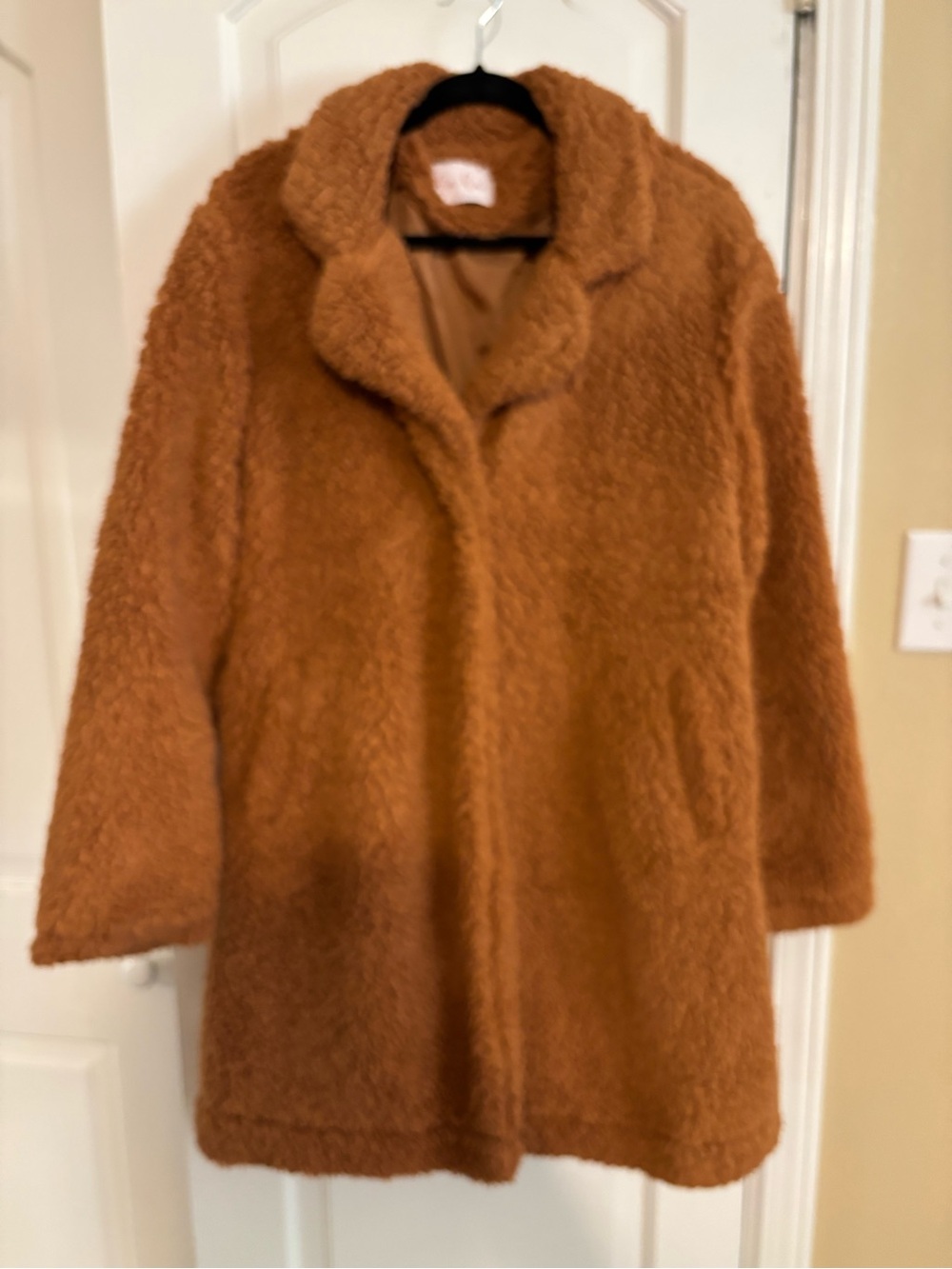 Cozy Teddy Jacket in Caramel